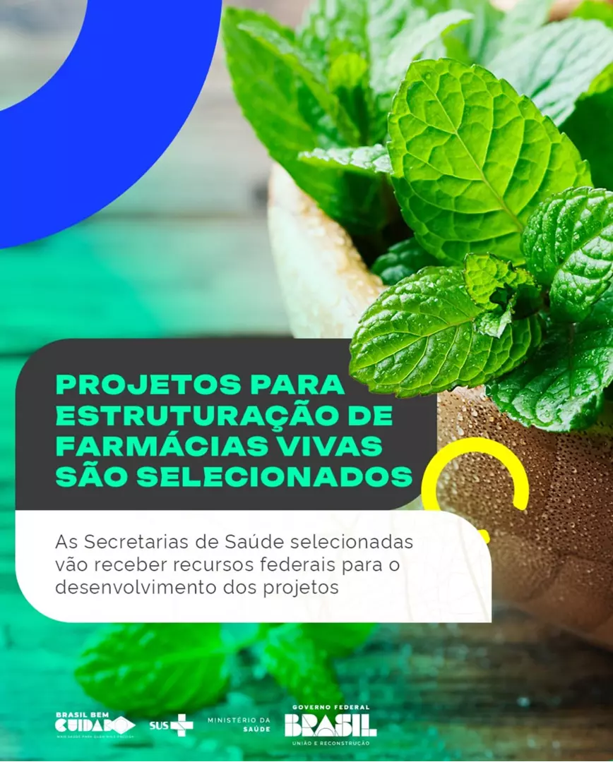 Projetos para estruturação de farmácias vivas